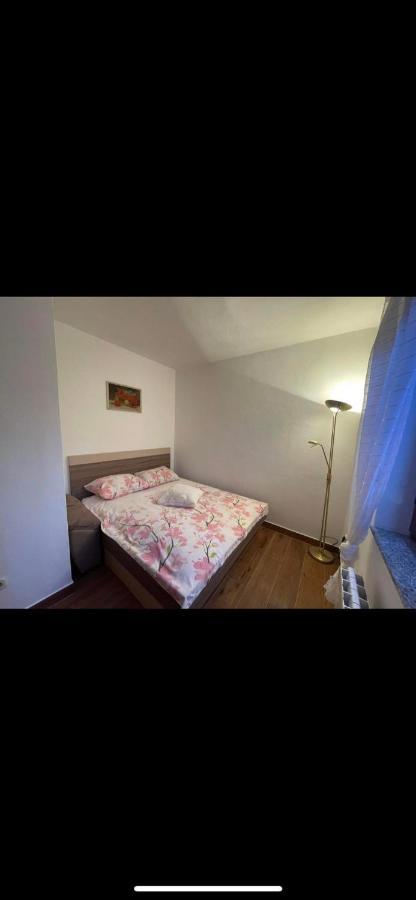 Charming In Apartment